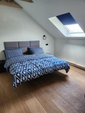 Blue Door Apartment Loft